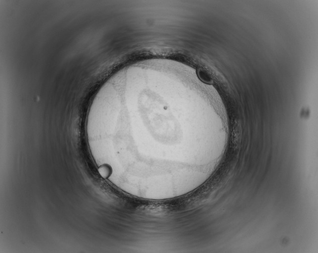 X0000101210639200807251050