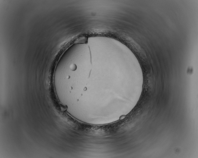 X0000101210640200807251050