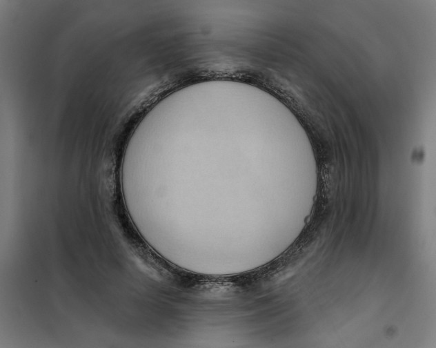 X0000101210642200807251050