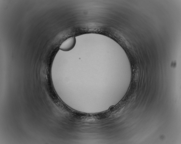 X0000101210643200807251050