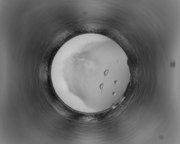 X0000101210644200807251050