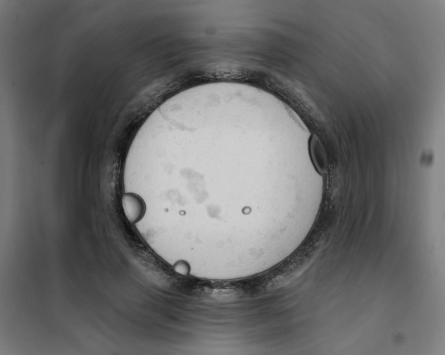 X0000101210645200807251050