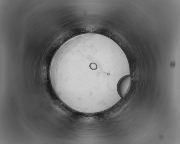 X0000101210646200807251050