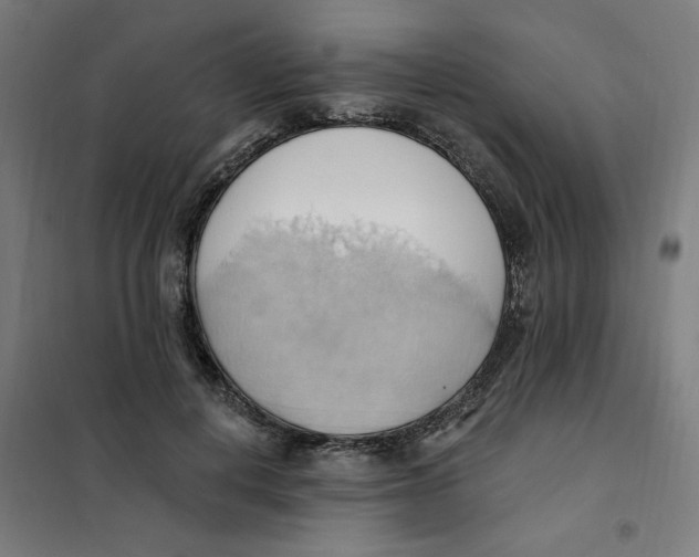 X0000101210648200807251050