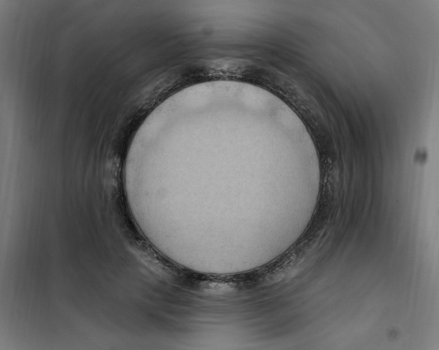 X0000101210649200807251050