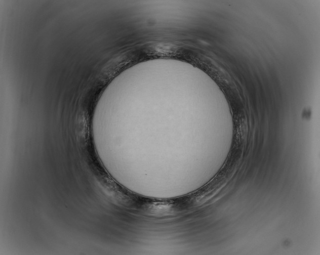 X0000101210651200807251050