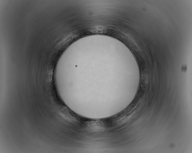 X0000101210652200807251050