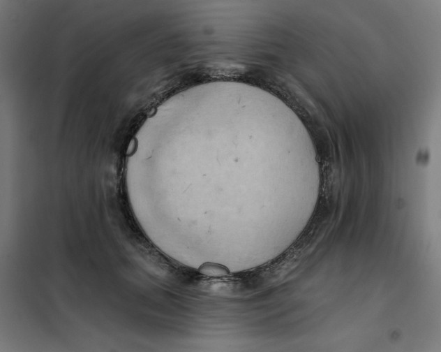 X0000101210655200807251050