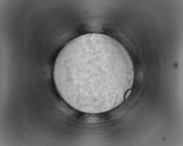 X0000101210658200807251050