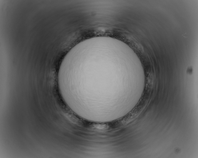 X0000101210659200807251050