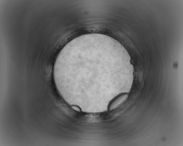 X0000101210660200807251050