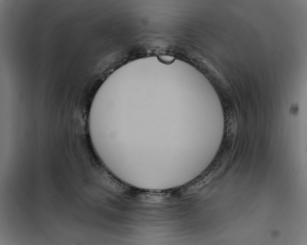 X0000101210661200807251050