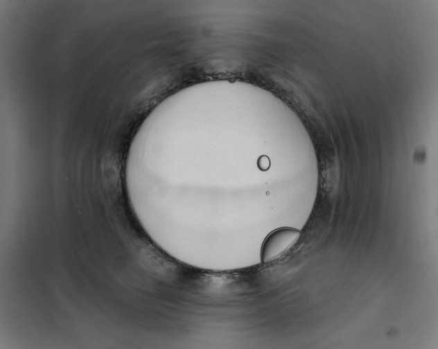 X0000101210662200807251050