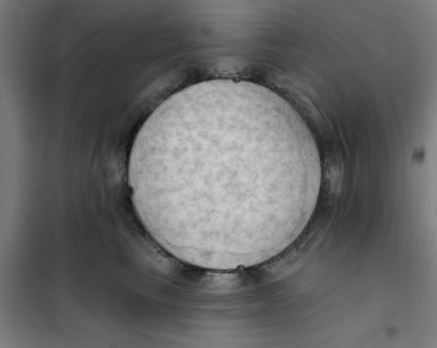 X0000101210665200807251050