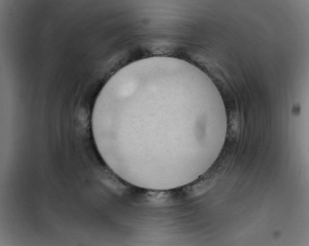 X0000101210667200807251050