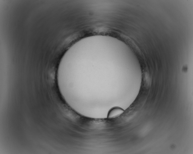 X0000101210668200807251050