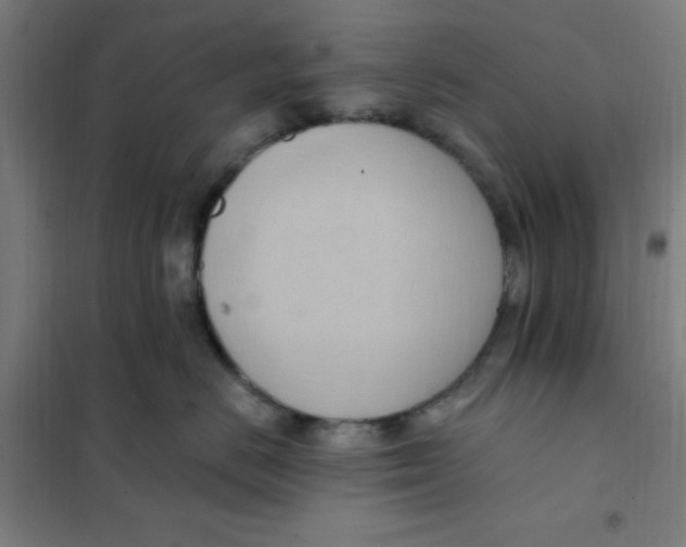 X0000101210670200807251050