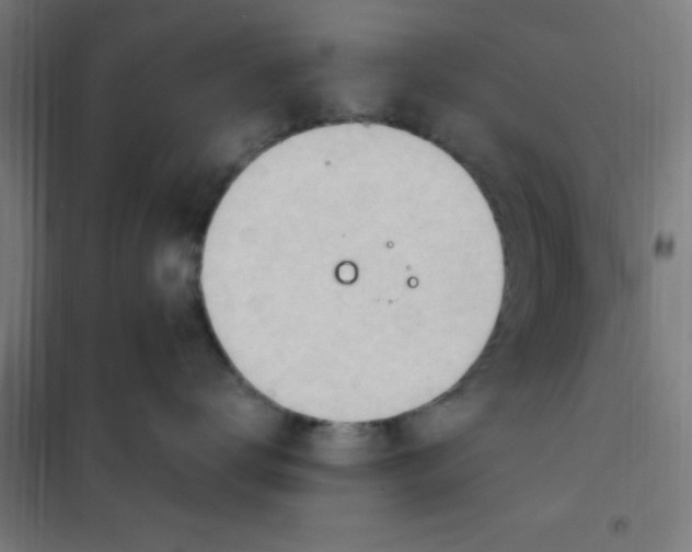 X0000101210672200807251050