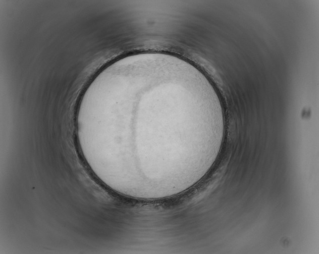 X0000101210673200807251050