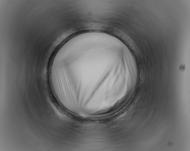 X0000101210674200807251050