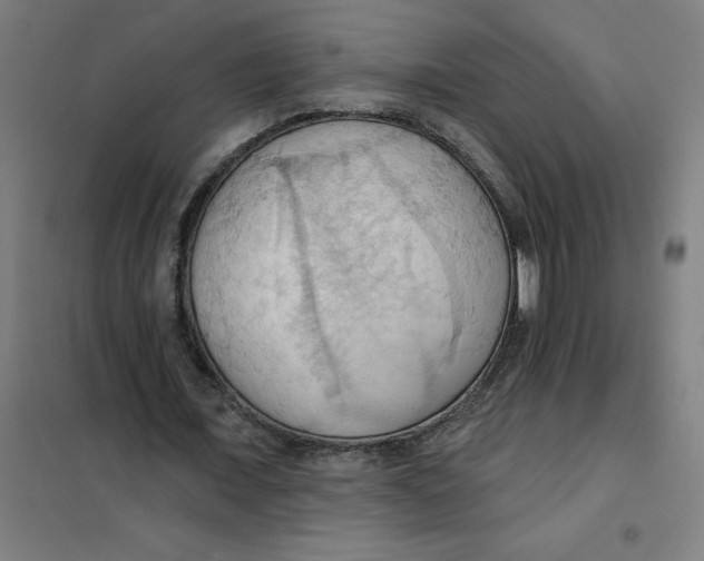 X0000101210675200807251050