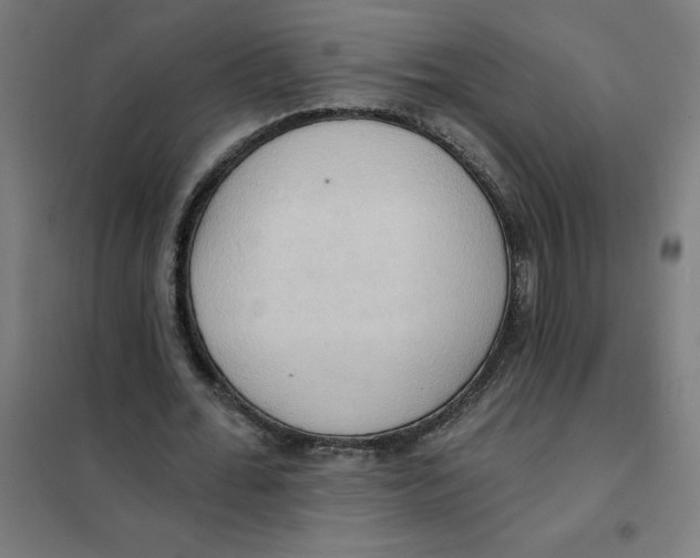 X0000101210676200807251050