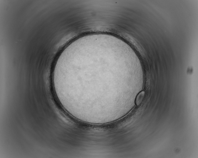 X0000101210677200807251050