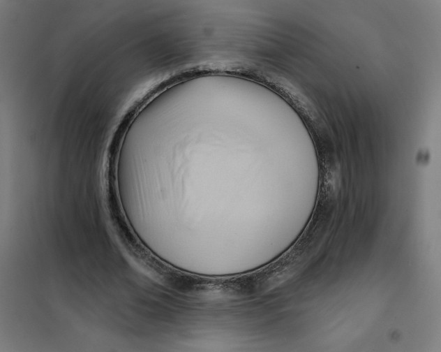 X0000101210678200807251050