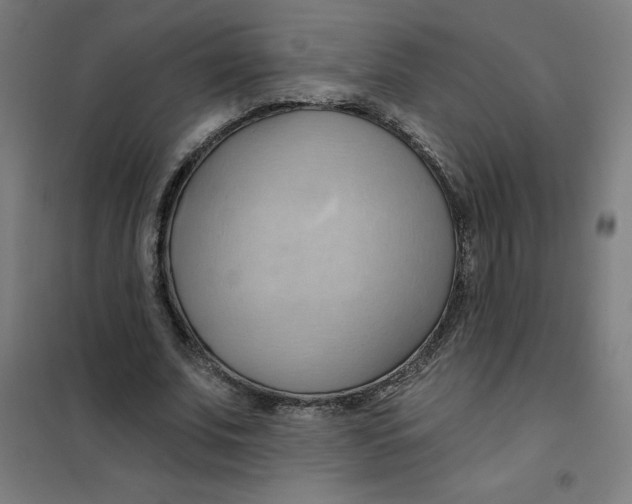 X0000101210679200807251050