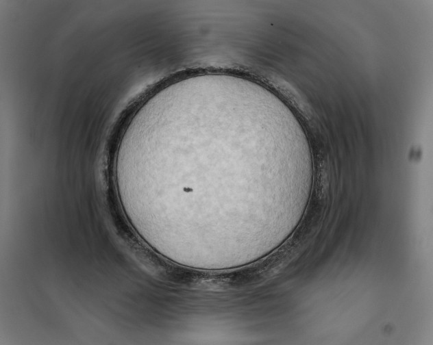 X0000101210680200807251050