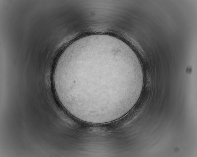 X0000101210681200807251050