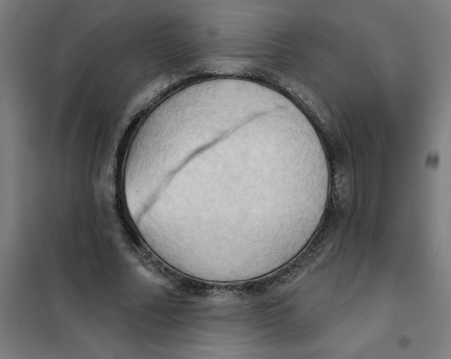 X0000101210682200807251050