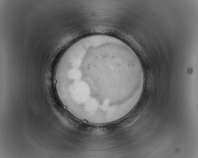 X0000101210683200807251050