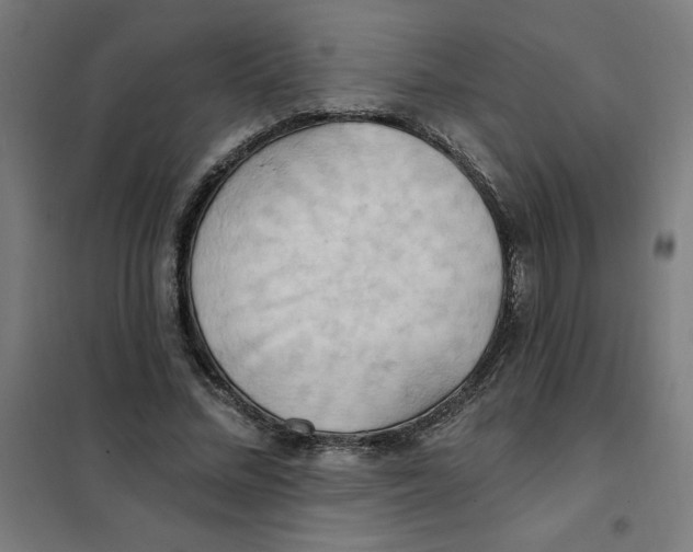 X0000101210684200807251050