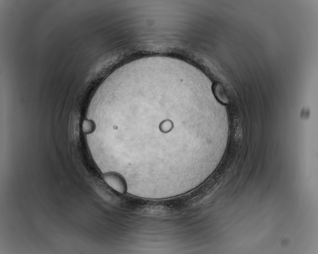 X0000101210685200807251050