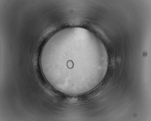 X0000101210687200807251050