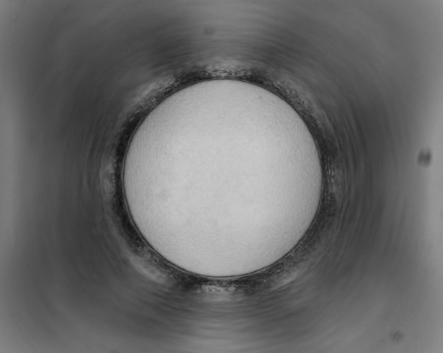 X0000101210690200807251049