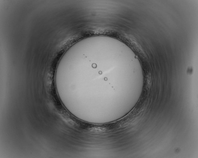 X0000101210691200807251049