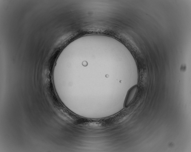 X0000101210692200807251049