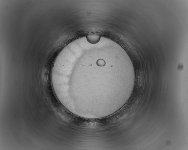 X0000101210695200807251049