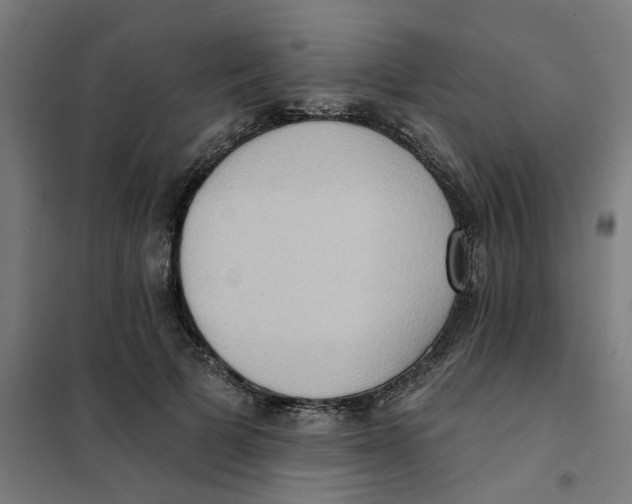 X0000101210697200807251049