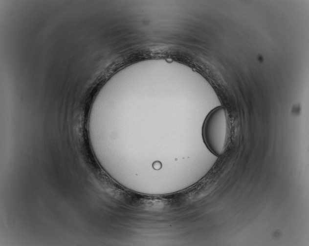 X0000101210698200807251049