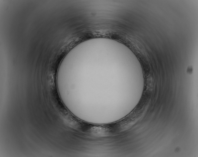 X0000101210699200807251049