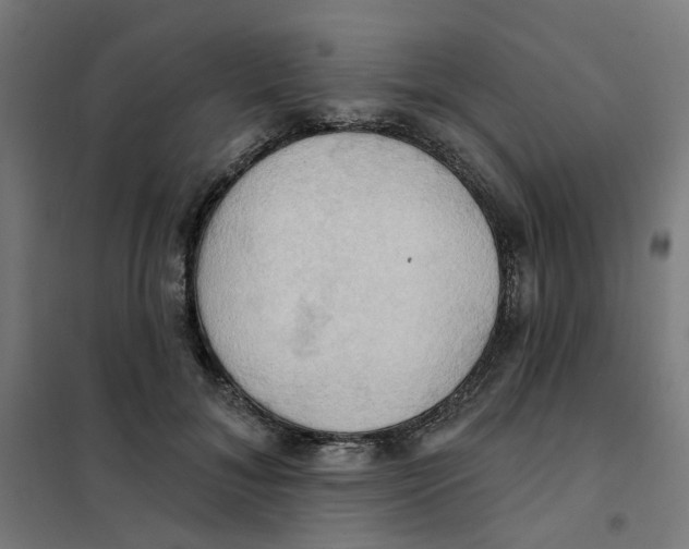 X0000101210700200807251049