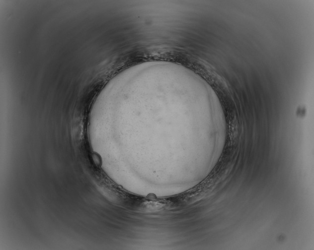 X0000101210703200807251049