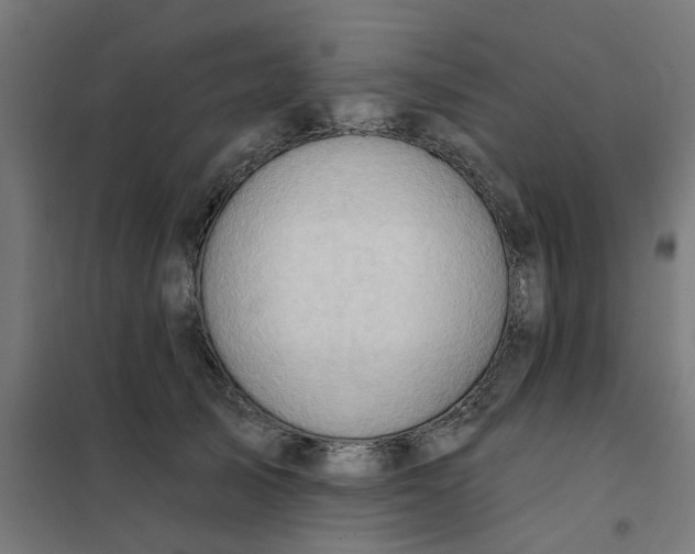 X0000101210705200807251049