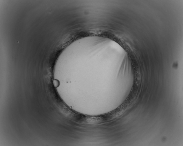 X0000101210707200807251049