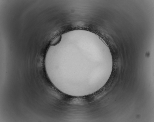 X0000101210708200807251049