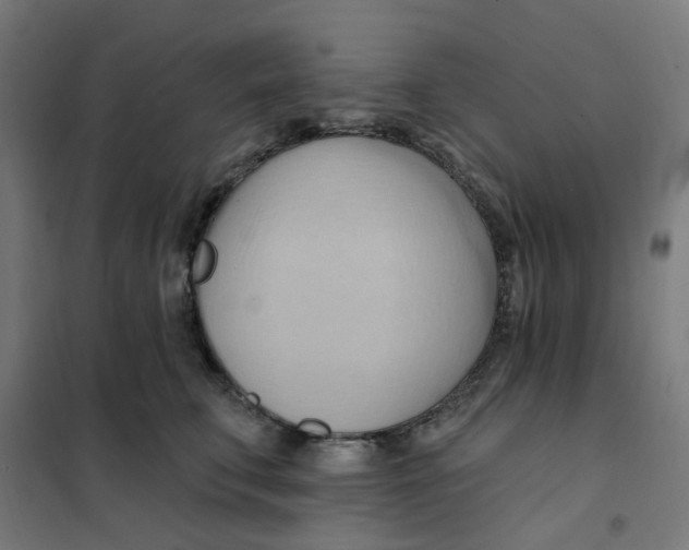 X0000101210711200807251049