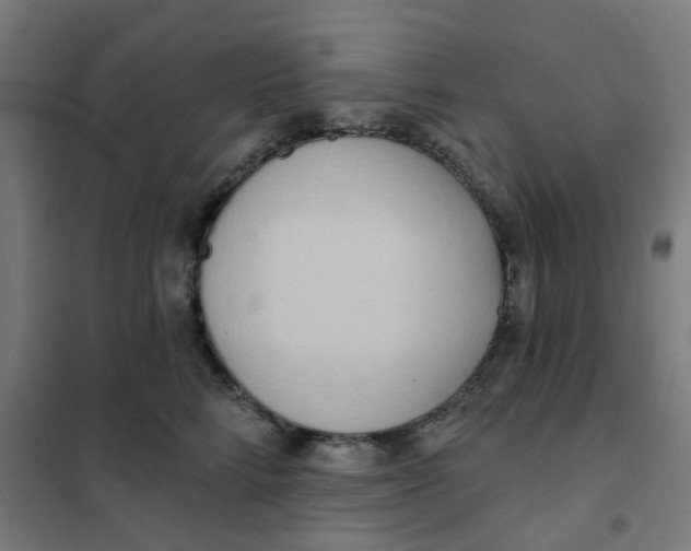 X0000101210712200807251049